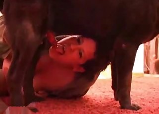 Doggy style fucking with a pooch