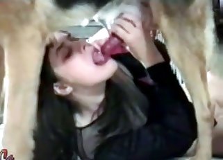 My trained dog loves bestiality