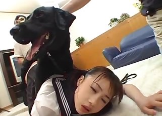Awesome angel and her trained dog